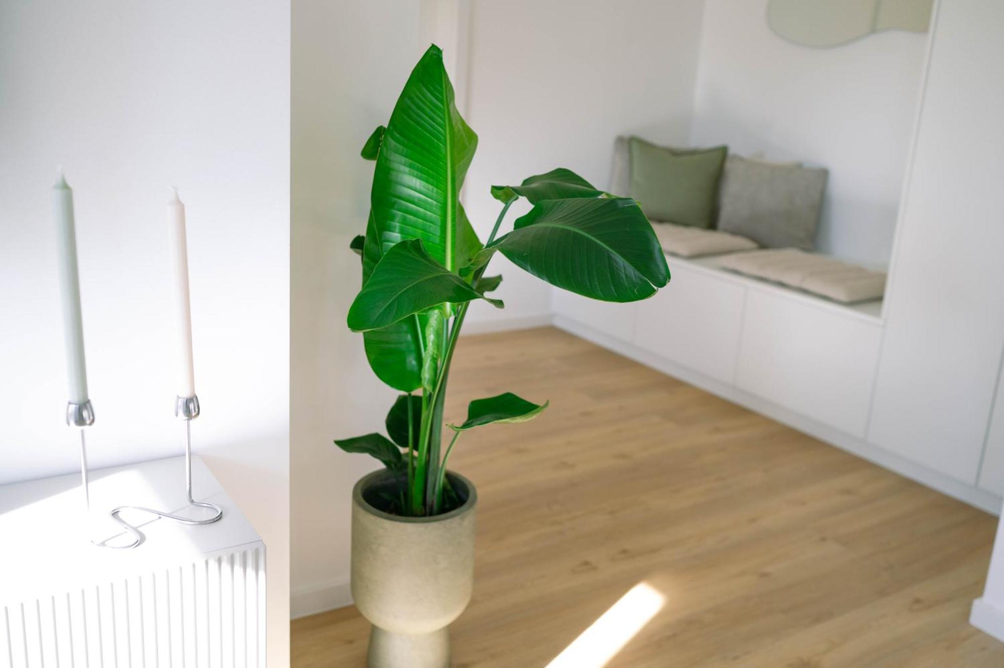 Koe27 - Modernes City-Apartment Siegen Luaran gambar